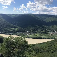 Malowniczy krajobraz Wachau z rzeką Dunaj, zielonymi wzgórzami i urokliwą wioską.
