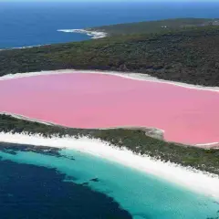 Niezwykłe, różowe jezioro Hillier otoczone zielenią, z białymi plażami i turkusowym oceanem.