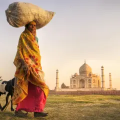 Kobieta z workiem na głowie i kozą obok, na tle Taj Mahal. Marzenie o wizie do Indii staje się rzeczywistością.