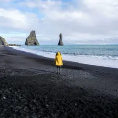 Osoba w żółtej kurtce na czarnej plaży w Islandii, z widokiem na skalne formacje w morzu.
