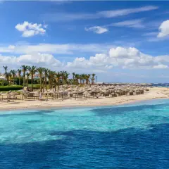 Piękna plaża z palmami i leżakami, idealna na wycieczki fakultatywne w Marsa Alam.