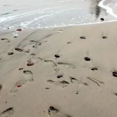 Ślady stóp na piaszczystej plaży, kamyki i fale. Idealne miejsce na tanie wakacje w Polsce.