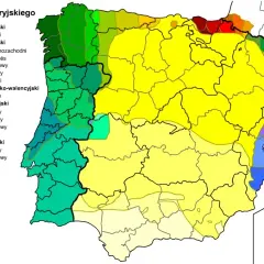Język portugalski w jakich krajach jest urzędowy i dlaczego warto to znać
