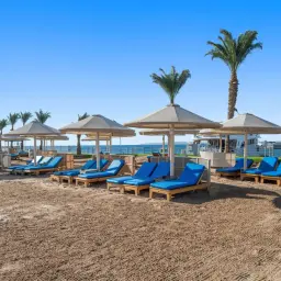 Plaża z leżakami i parasolami, palmy, morze i statki w tle. Idealne miejsce na wypoczynek, jak na wakacjach z **pickalbatros**.