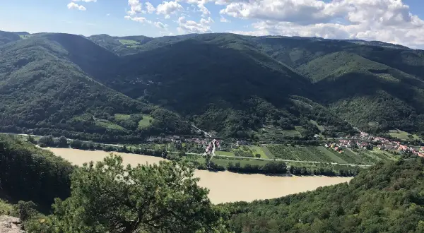 Malowniczy krajobraz Wachau z rzeką Dunaj, zielonymi wzgórzami i urokliwą wioską.