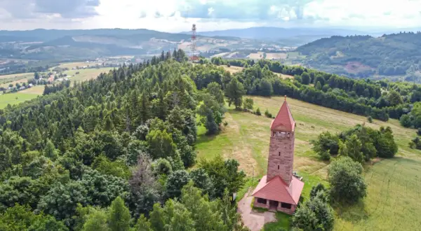 Kamienna wieża widokowa na wzgórzu otoczona lasem, w tle pagórkowaty krajobraz.
