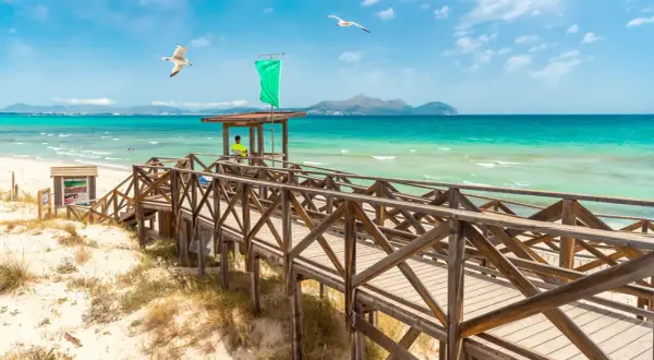 Majorka w październiku zachwyca! Drewniany pomost prowadzi na piaszczystą plażę, a mewy szybują nad turkusowym morzem. Idealna pogoda na spacer.