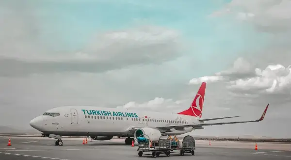 Samolot Turkish Airlines na płycie lotniska z wózkami bagażowymi.