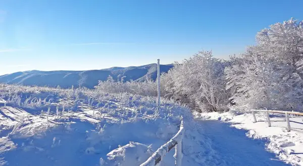 Zimowe ferie Podkarpacie: szlak pokryty śniegiem i lodem, drzewa oszronione, góry w tle.
