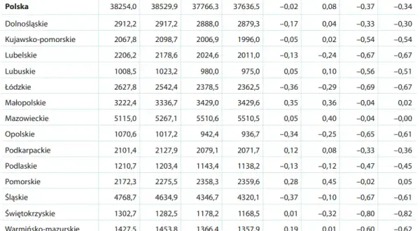 Ile mieszkańców ma Szczecin? Zaskakujące dane demograficzne 2025