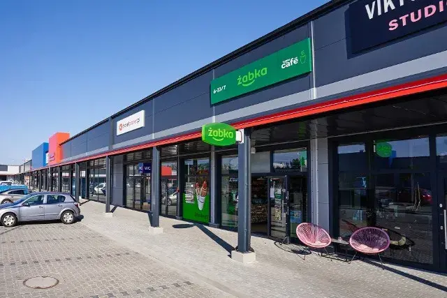 Ile jest żabek w Szczecinie? Sprawdź, gdzie znajdziesz najbliższą!