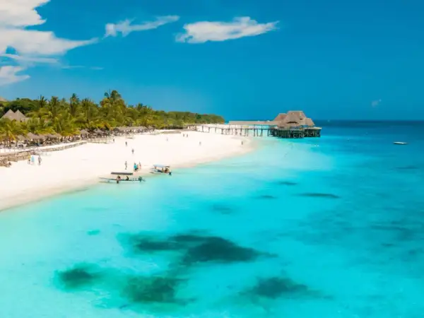 Rajska plaża na Zanzibarze z białym piaskiem, palmami i turkusową wodą.