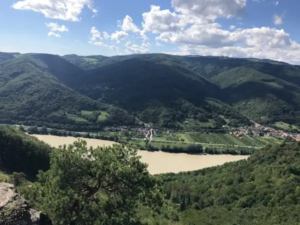 Malowniczy krajobraz Wachau z rzeką Dunaj, zielonymi wzgórzami i urokliwą wioską.