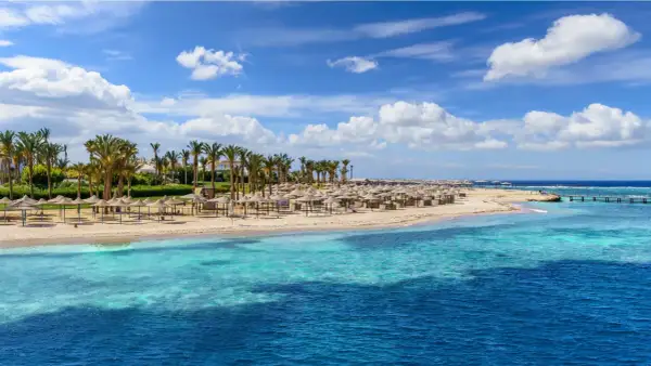 Piękna plaża z palmami i leżakami, idealna na wycieczki fakultatywne w Marsa Alam.