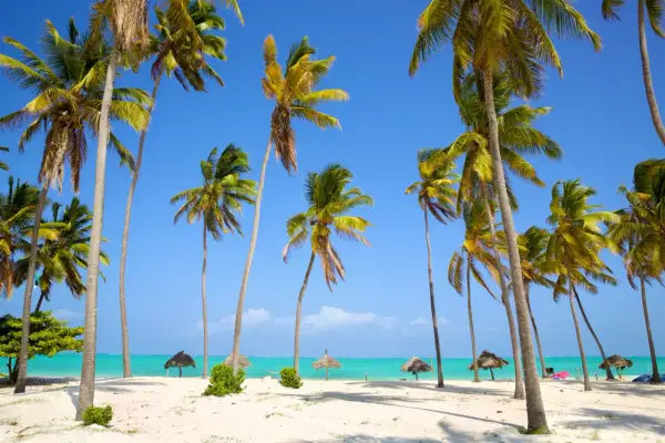 Plaża z palmami i turkusową wodą, Zanzibar.