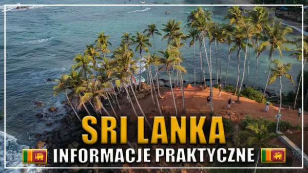 Rajskie wybrzeże Sri Lanki, palmy i turkusowa woda. Planujesz podróż? Sprawdź praktyczne informacje o wizie do Sri Lanki.